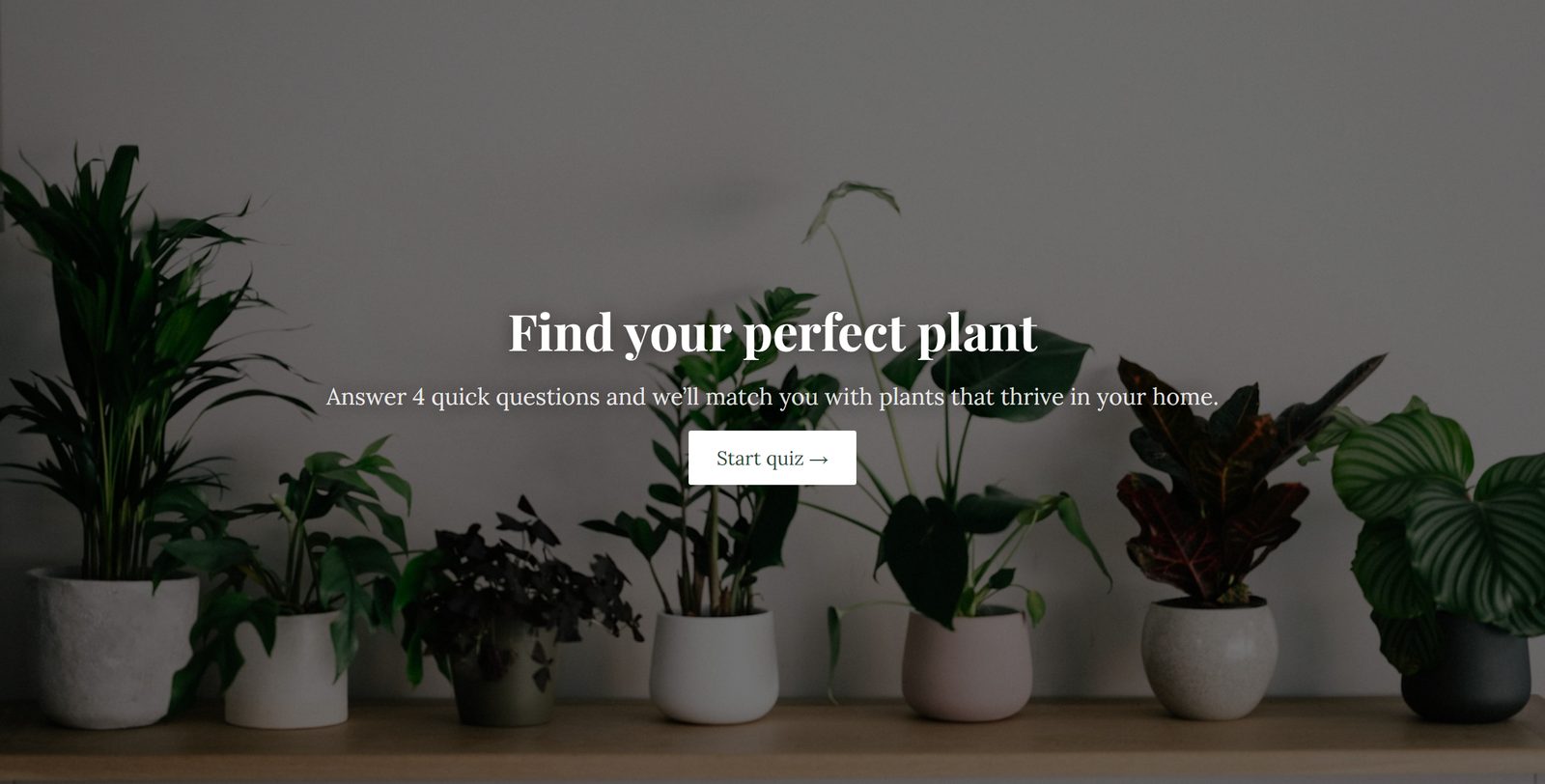 Plant finder template start page